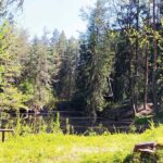 Natur im Überfluss