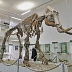 RU Treff-Ost 2025 Sangerhausen Spengler-Museum